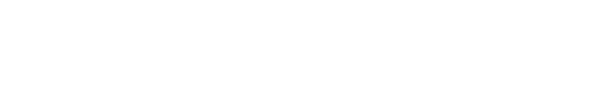 DUKONIC